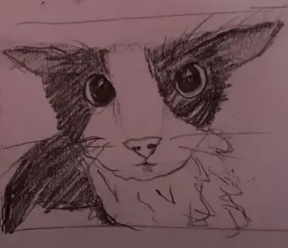 Cat Image